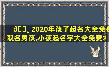 🌸 2020年孩子起名大全免费取名男孩,小孩起名字大全免费2020年 🍁 男孩免费